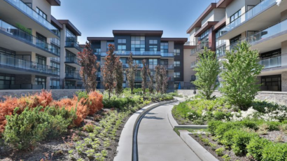 The Craftsman - Vandyk Group
